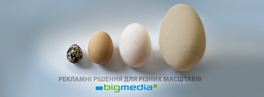 FB-BigMedia-eggs-baner